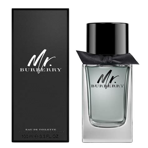 mr burberry edt 100 ml